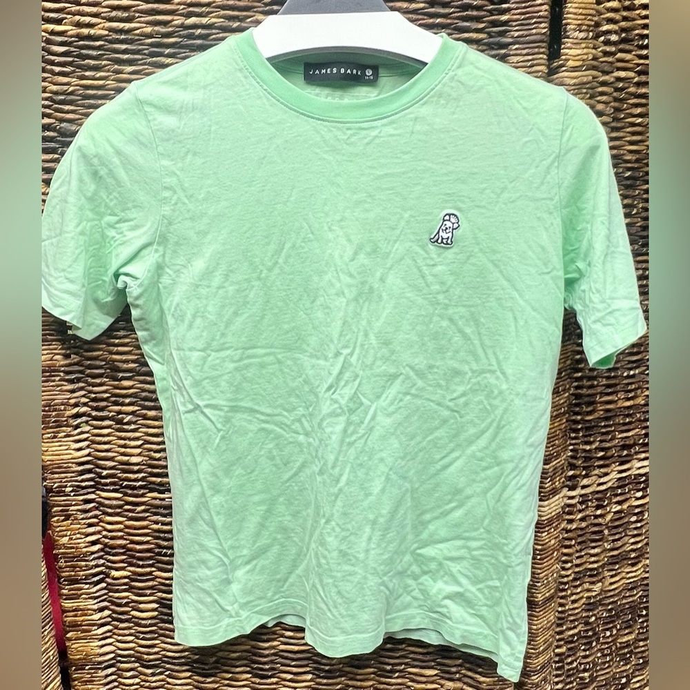 James‎ Bark- Youth Mint Green Short Sleeve Tee- Large (14-16)